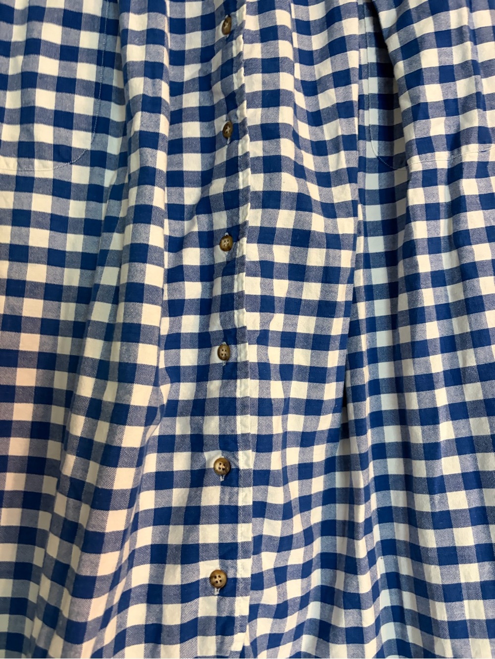 Allen Solly Bombay Oxford Blue and White Gingham Button-Front Vintage Midi Skirt - Picture 3 of 7